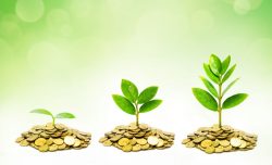 RBC GAM moves SRI funds to Vision Funds
