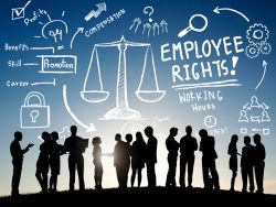 Employee Rights Employment Equality Job Business Communication Concept