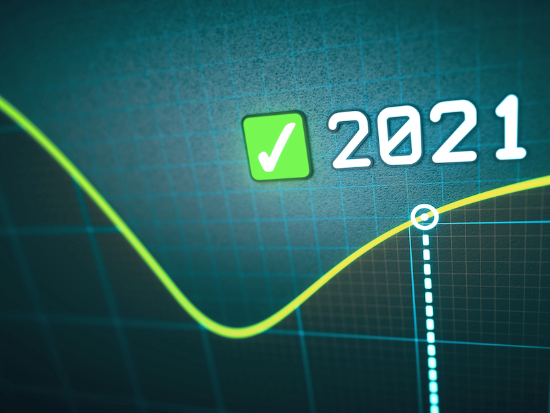 Investment chart for the year 2021.