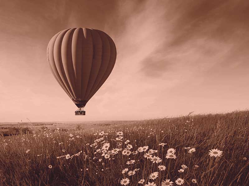 hot air balloon