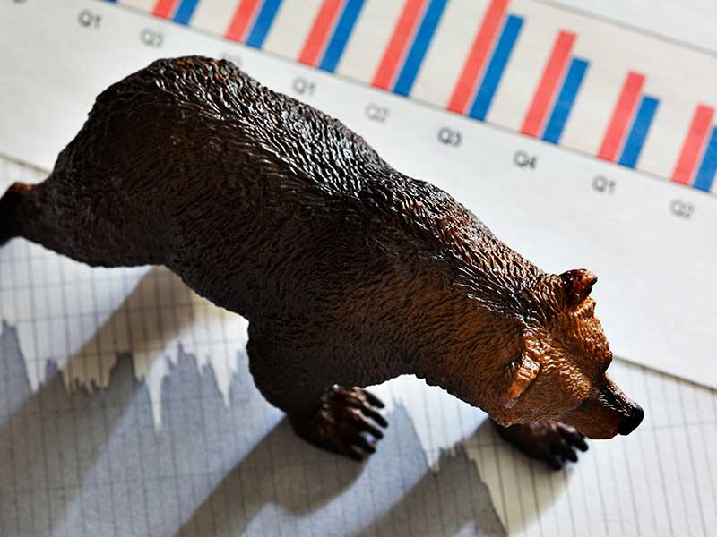 A bear rests on top of a downward pointing stock chart.