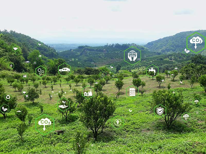 Concept of carbon offsets